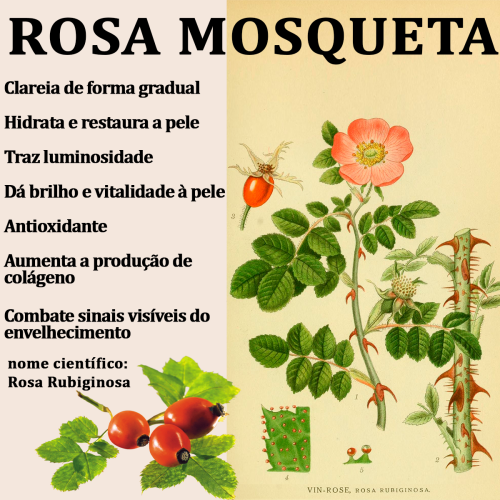 Nova Pele Creme De Manutenção Skincare A Botica 0804