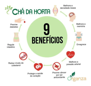 Chá da Horta Organza Alimentos 001